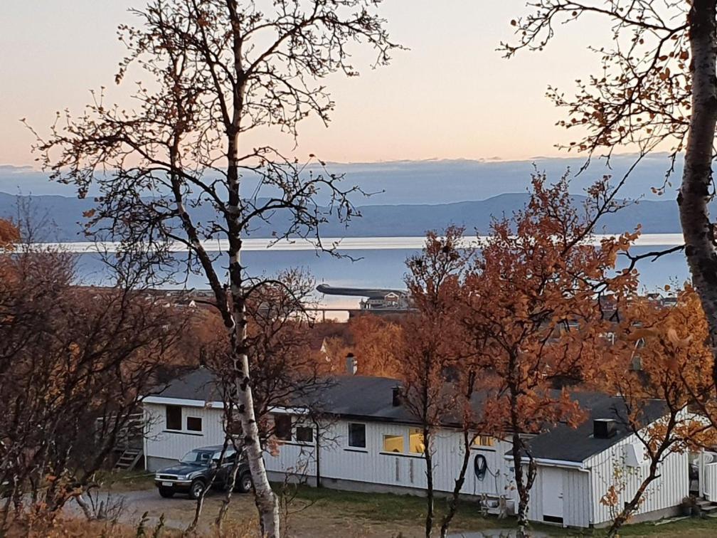 Varangertunet Arctic Resort Jakobselv Экстерьер фото