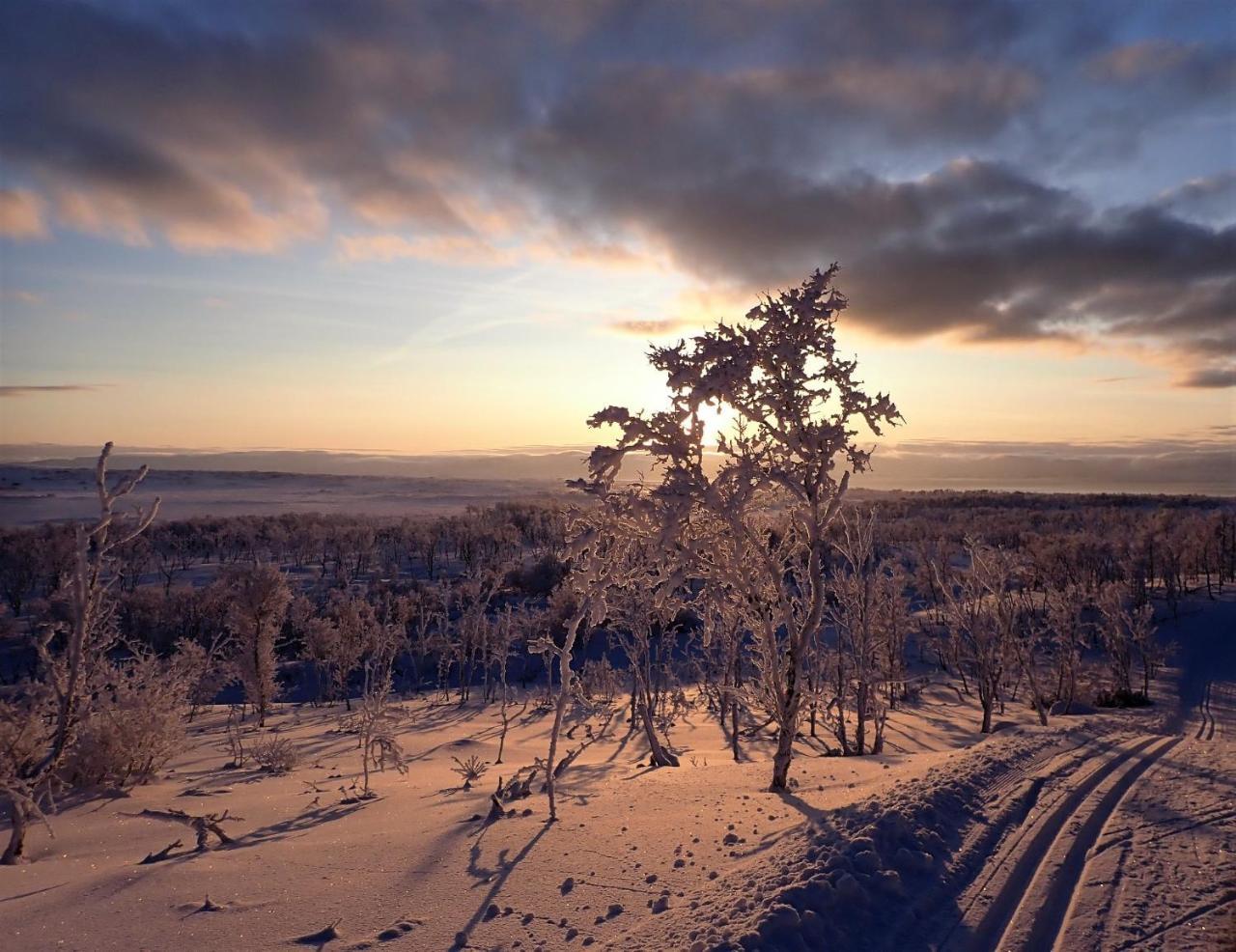 Varangertunet Arctic Resort Jakobselv Экстерьер фото