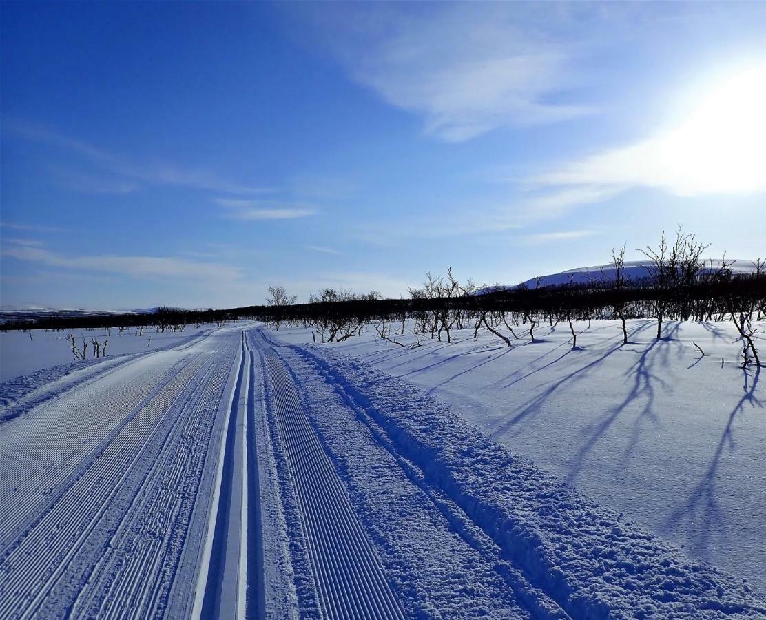 Varangertunet Arctic Resort Jakobselv Экстерьер фото